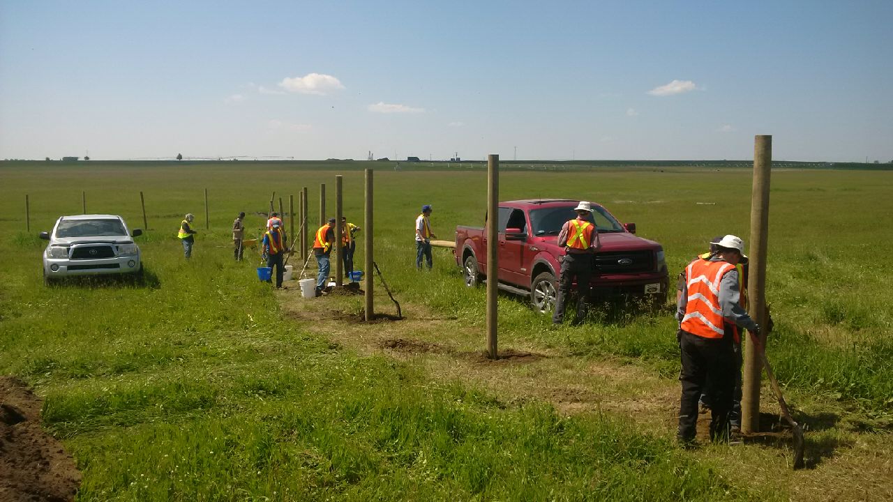Fencing Jul 12 2014 Day one.jpg