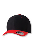 blackredcap.jpg