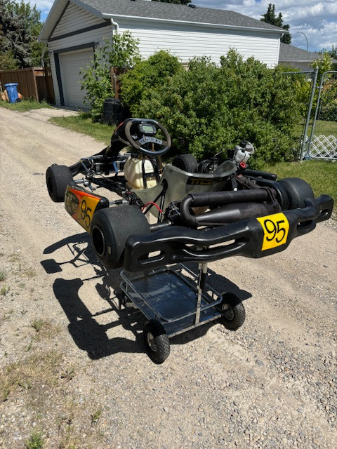 David Kart1.jpg